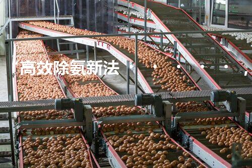 “高效除氨新法，破解氨氮廢水超標(biāo)難題”